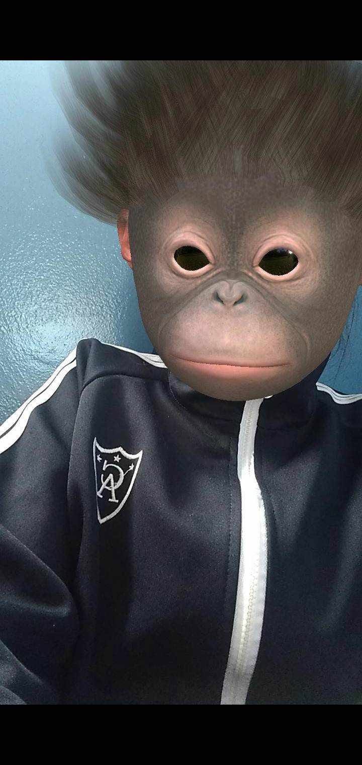 Foto 5 de la colección
